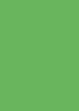 Papír  A5  zelený  80g  (1289008877)